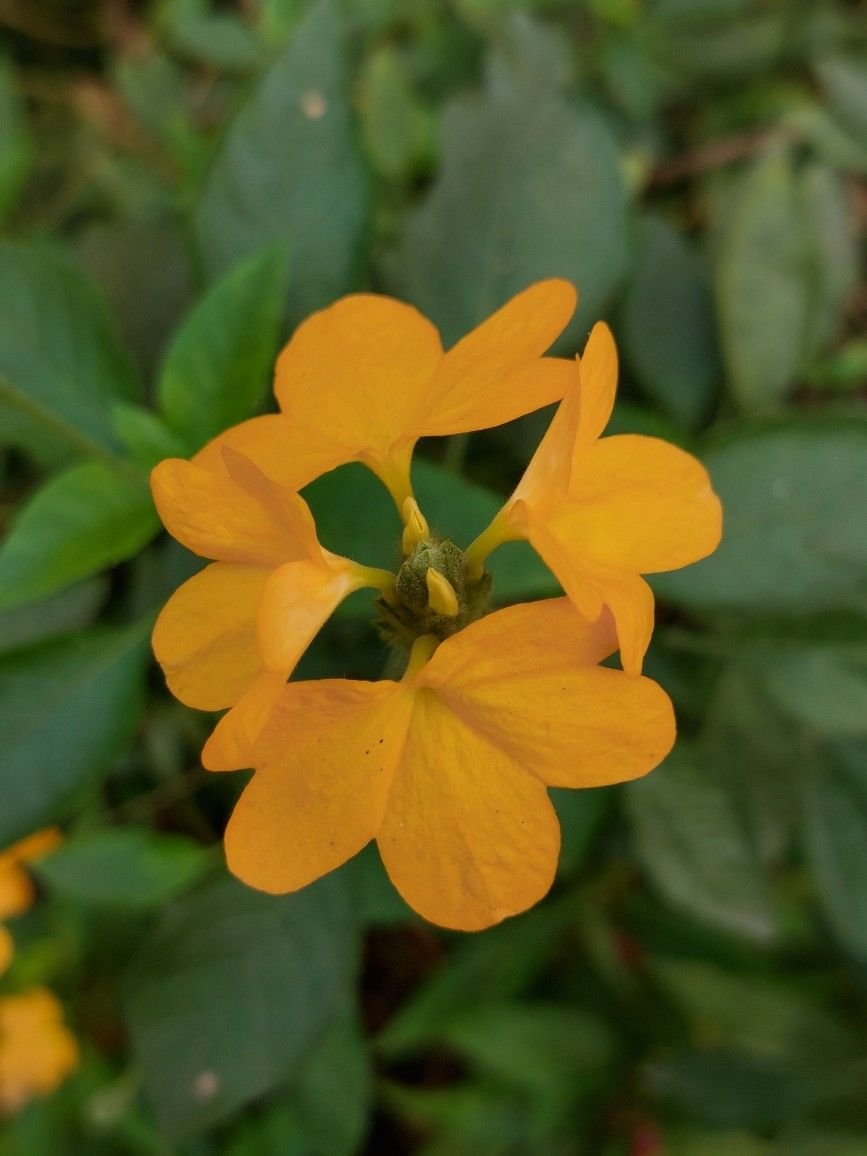 7eb5b7b8fc90e3348a8c02a36d6d9117